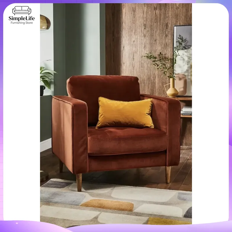 2024 Modern Minimalist Velvet  - Home Office 2024 review and price