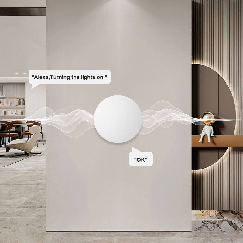 ZigBee Smart Wireless Button S - Home Office Google review and price