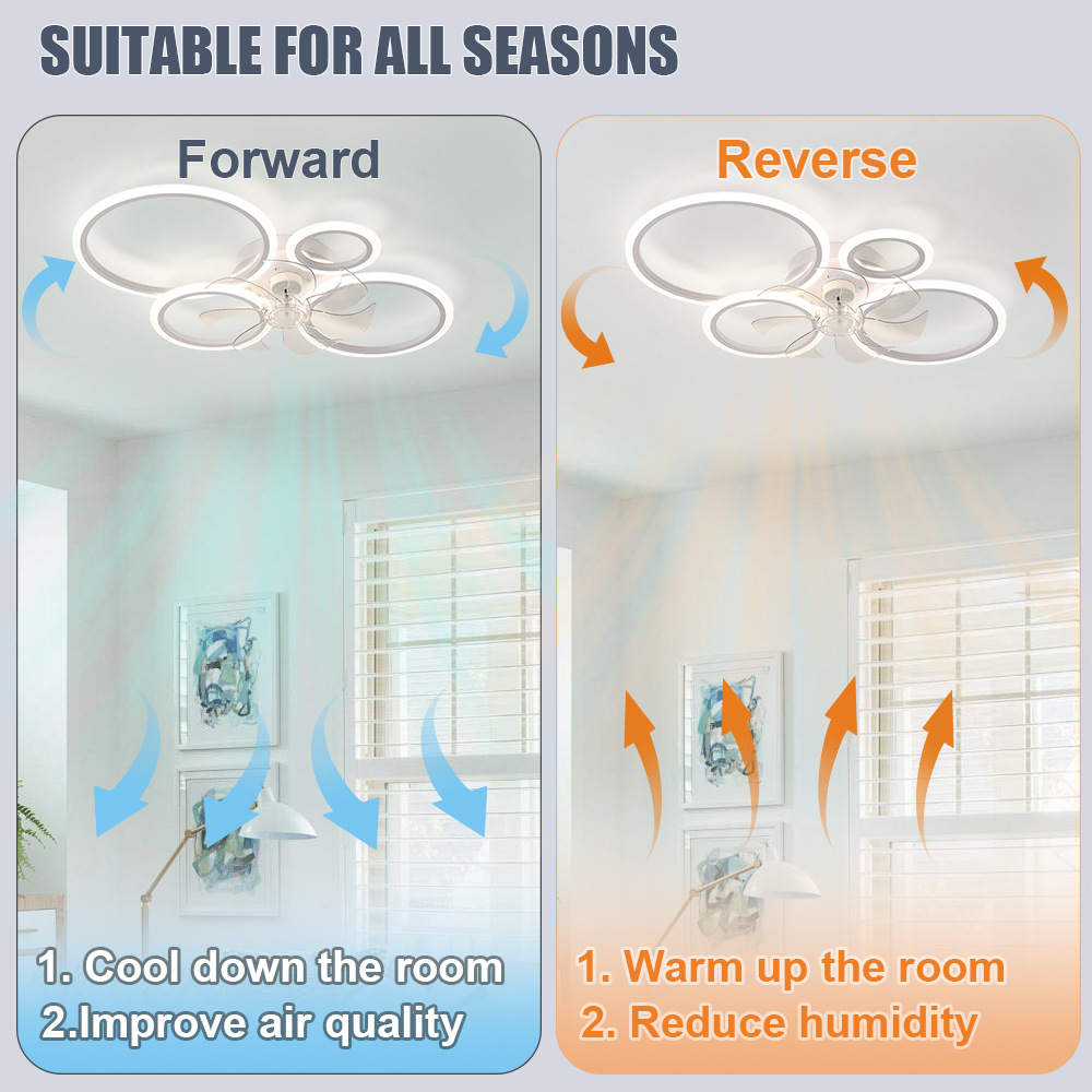 Four-ring ceiling fan light wi - Home Office Furniture Sets review and price